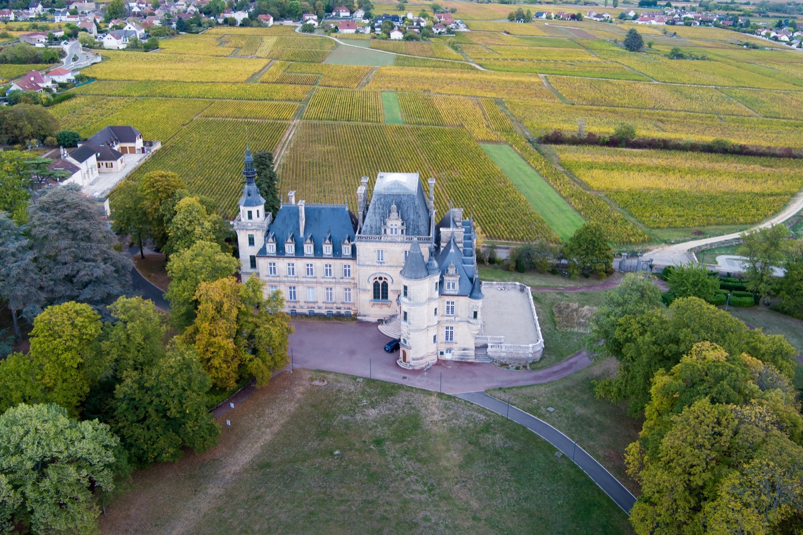 Vue aérienne d’un château entouré de vignes
